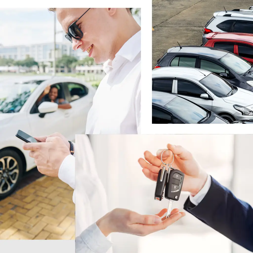 dondavemanagement.net